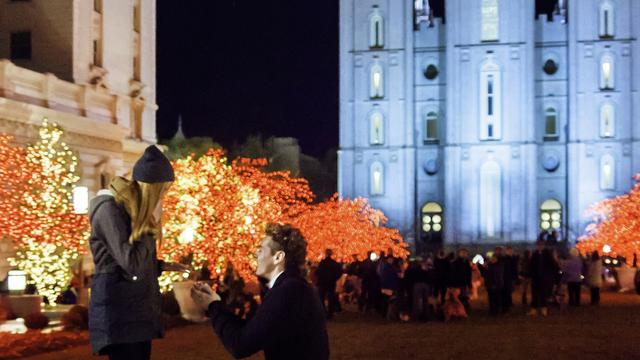 Tempļa skvērs 2014